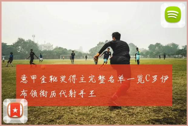 意甲金靴奖得主完整名单一览C罗伊布领衔历代射手王