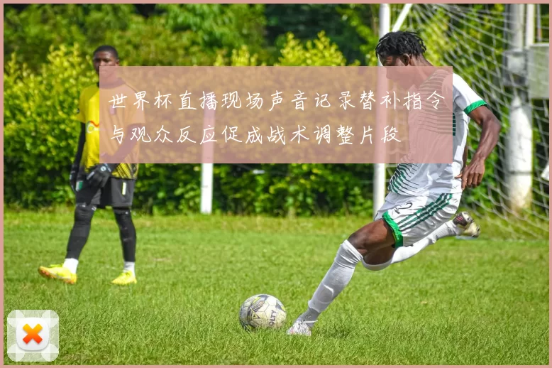 世界杯直播现场声音记录替补指令与观众反应促成战术调整片段