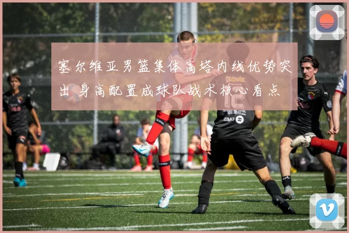 塞尔维亚男篮集体高塔内线优势突出 身高配置成球队战术核心看点