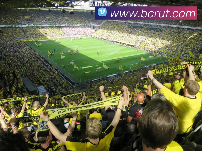 多媒体互动体验